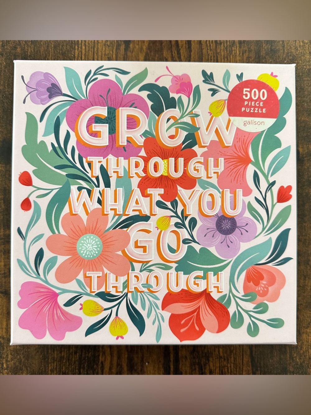 Galison Puzzle, Grow Through What You Go Through, 500 pieces
